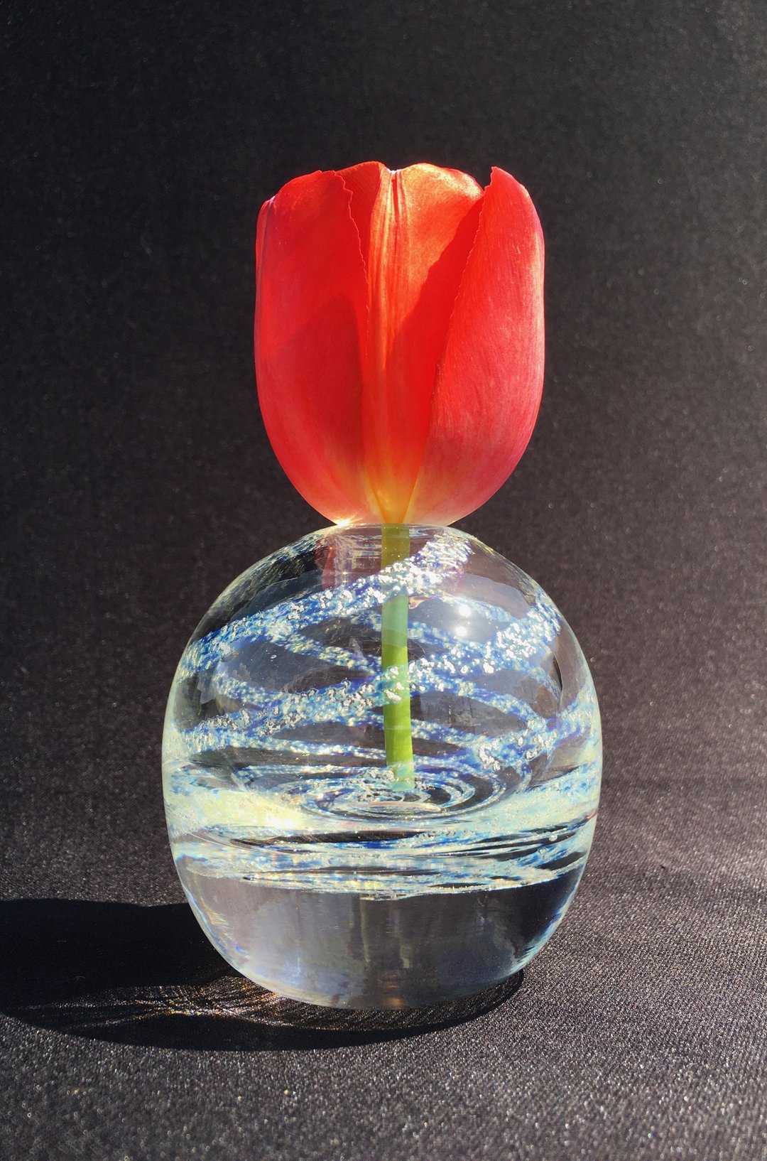 Galaxy single-flower vase sphere - 花瓶/陶器 - 玻璃 银色