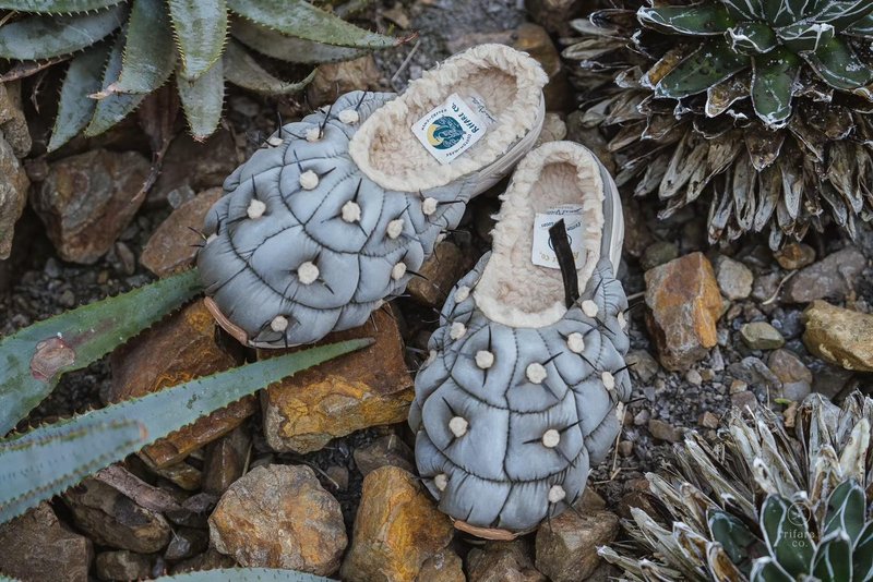 Sweet Villians X RIFARE_Co M1243 Capiapoa Cinerea - 男款休闲鞋 - 棉．麻 多色