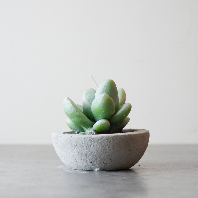 <芙蓉雪莲>-植物盆栽蜡烛含驱蚊油摆设 - 蜡烛/烛台 - 蜡 绿色