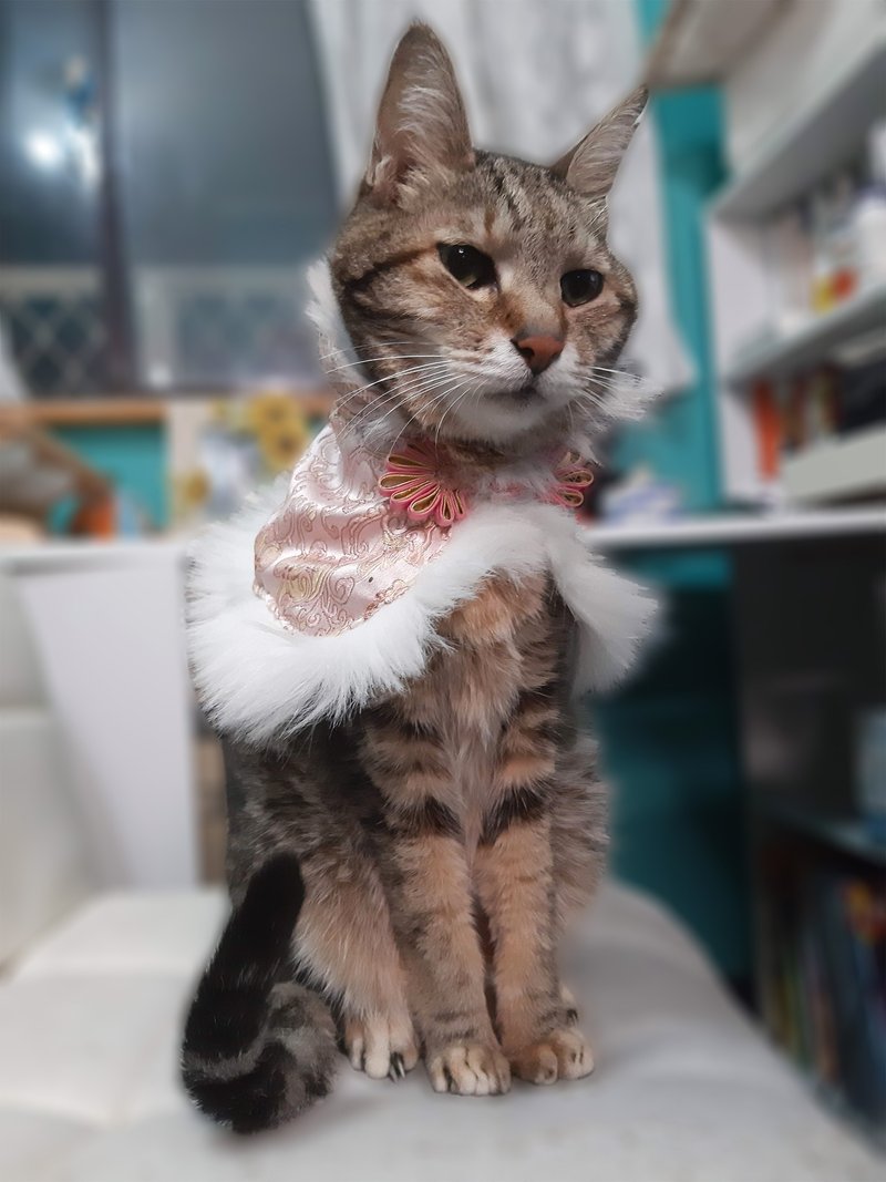 主子卖萌-延禧宫廷系列-古典绸缎披肩 (藕粉) - 衣/帽 - 其他材质 粉红色