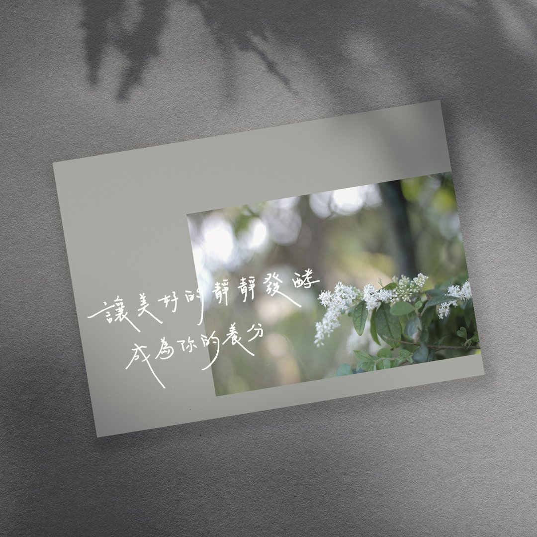 【城市里手写明信片】让美好的静静发酵成为你的养份 - 卡片/明信片 - 纸 蓝色