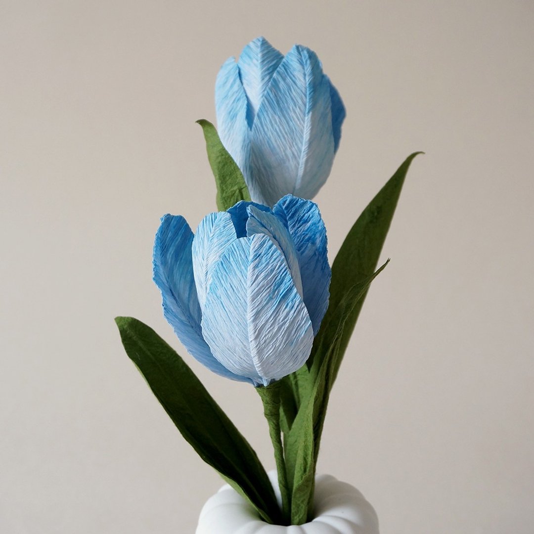 扩香花-郁金香Tulip - 香薰/精油/线香 - 纸 
