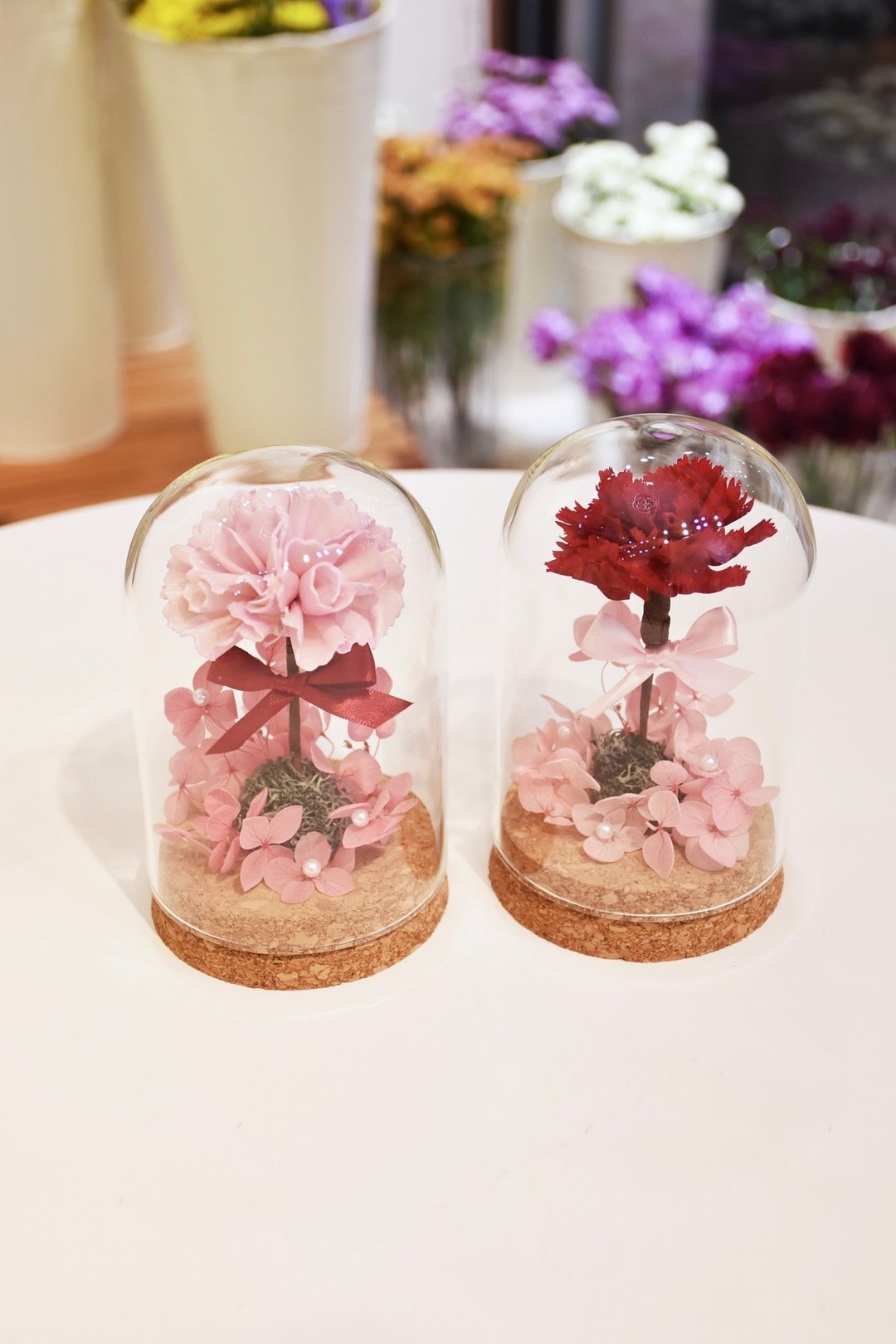 母亲节康乃馨玻璃盅 扩香康乃馨 永生花康乃馨 - 干燥花/捧花 - 植物．花 透明