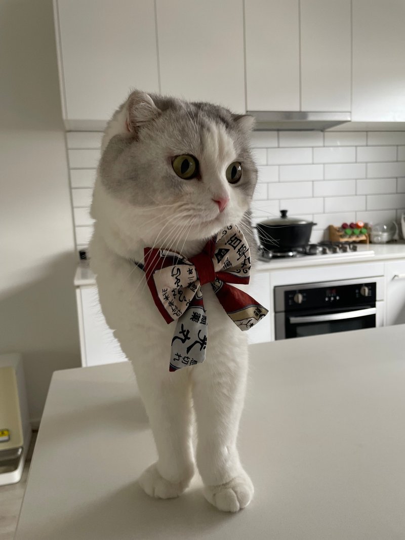 宠物煲呔 J017 正版日本布 可调松紧 可订造 宠物 Model - 懵懵 - 订制抱枕/饰品 - 棉．麻 