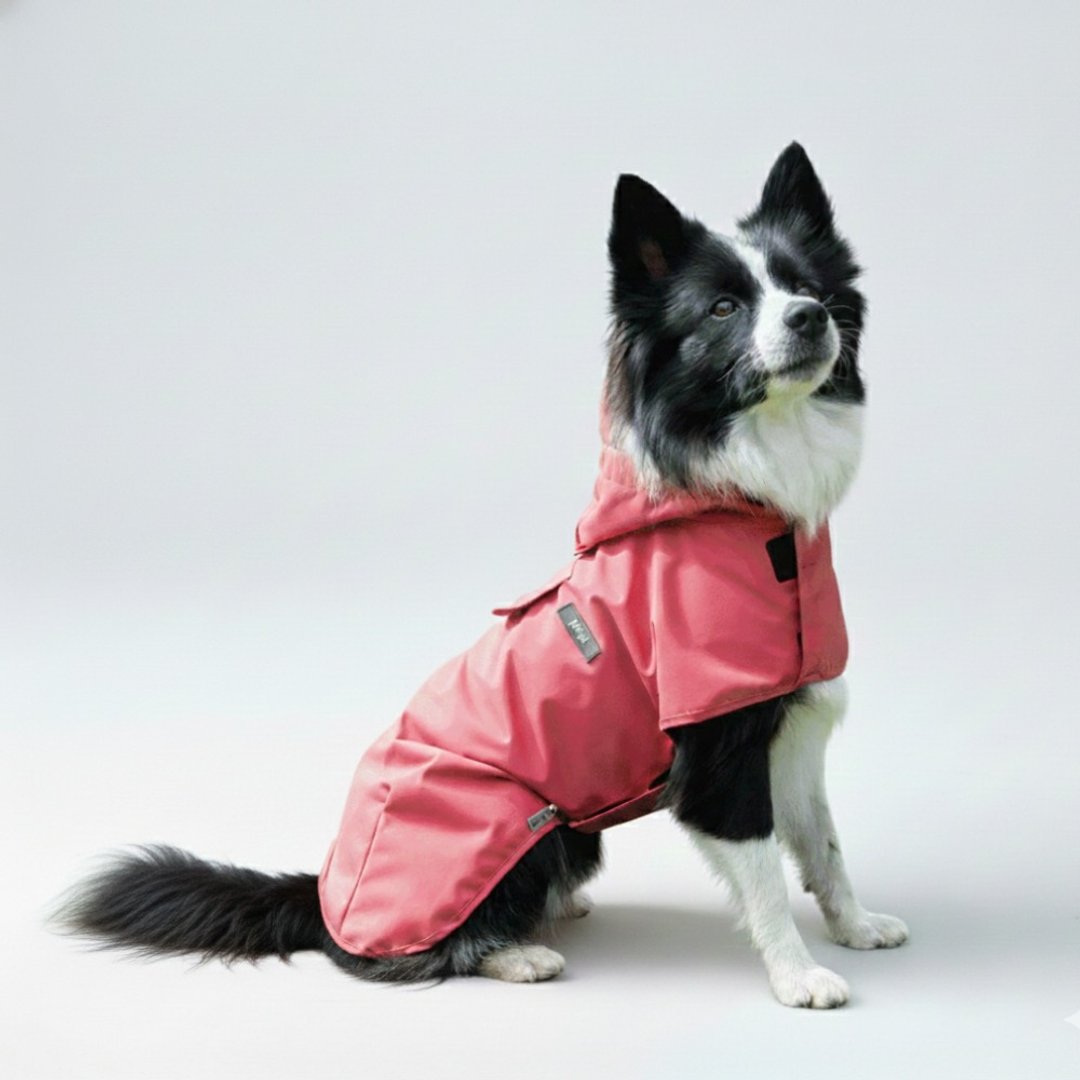 韩国 ppuya 都会犬 绚彩机能雨衣-玫红色 - 衣/帽 - 其他材质 红色