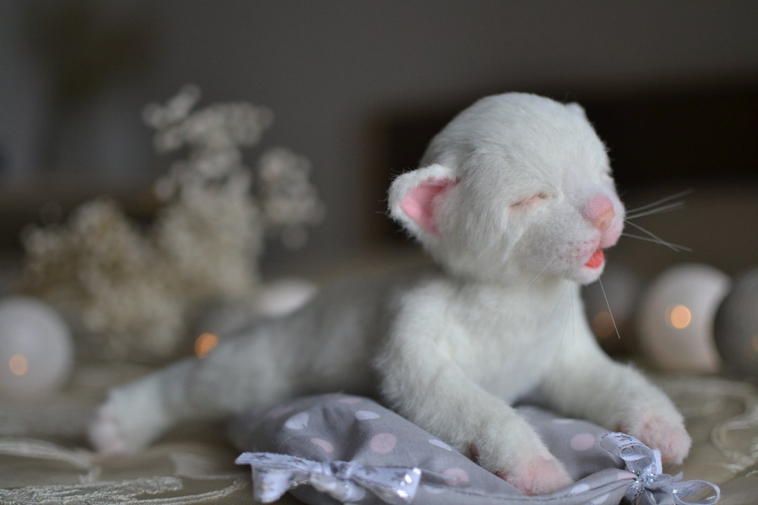Realistic newborn white kitten, plush toy - 玩偶/公仔 - 其他材质 白色