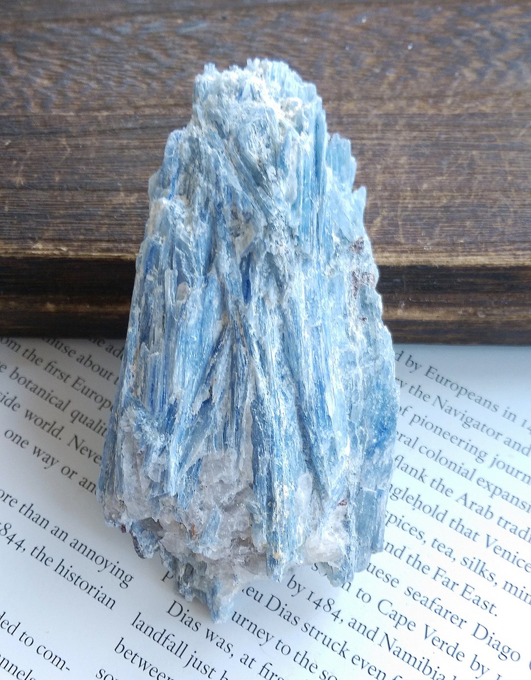 Kyanite 巴西产地 蓝晶石 石英共生矿 天然矿石 原矿 - 摆饰 - 其他材质 
