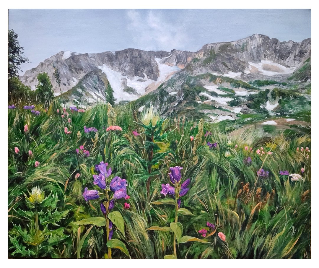 原画 手绘艺术 装饰画 风景挂画 花卉植物 挂画 自然画 花卉植物 - 海报/装饰画/版画 - 其他材质 多色