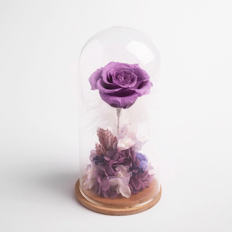 [花里 FORi Flower]  钟罩永生玫瑰花礼-紫精灵 - 植栽/盆栽 - 植物．花 紫色