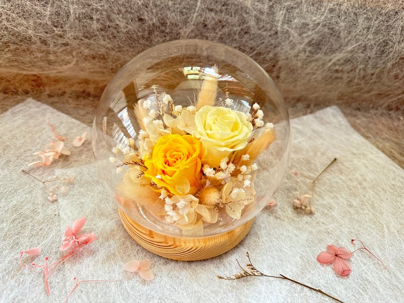 【设计师独卖款】大玻璃球花盅 - 干燥花/捧花 - 植物．花 