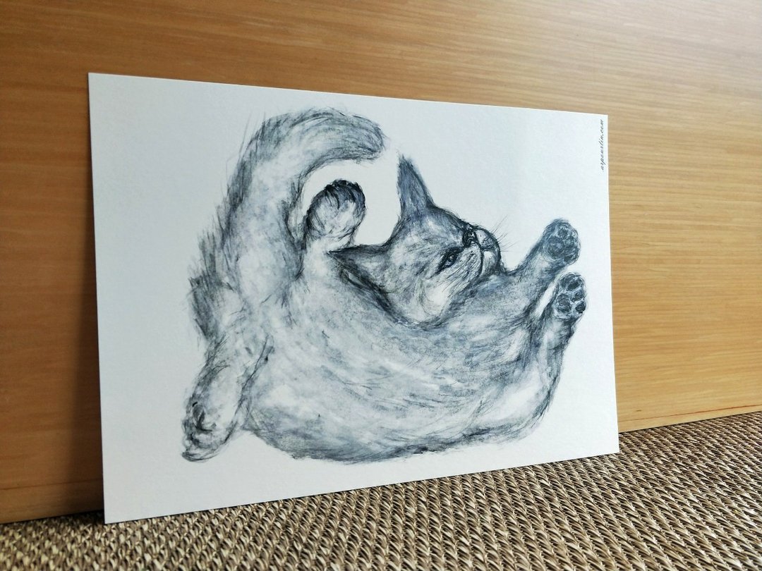 明信片/装饰画/猫/跳跃猫/挂画/海报/装饰画片/居家布置 - 墙贴/壁贴 - 纸 白色