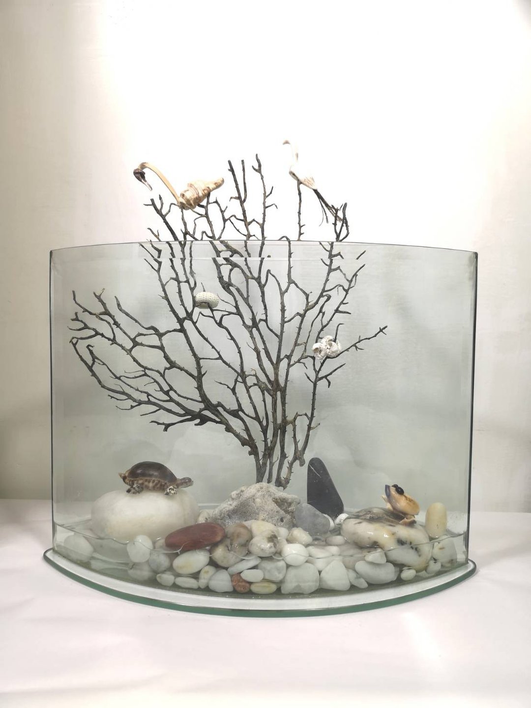 -生态- 鱼缸 展示架 盆栽架 盆栽摆饰 植栽器皿 - 其他 - 玻璃 透明