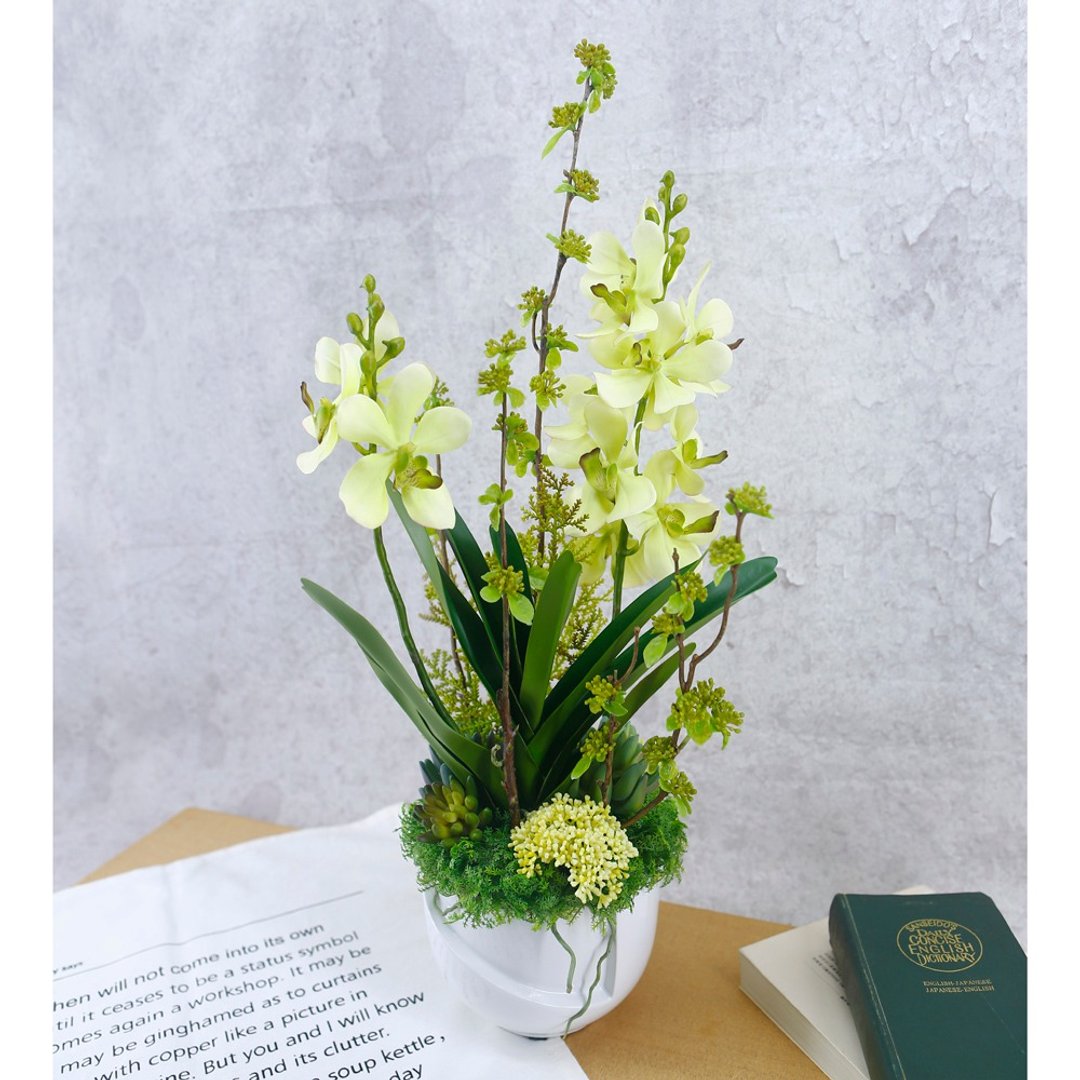 中型绿万代兰香氛花艺/仿真花/布置/礼物/人造花/花礼 - 植栽/盆栽 - 其他材质 