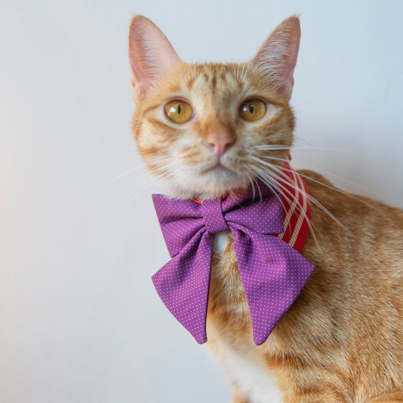 某少女战士 宠物项圈 领结造型彩色围脖 紫 红组合 - 项圈/牵绳 - 其他人造纤维 紫色