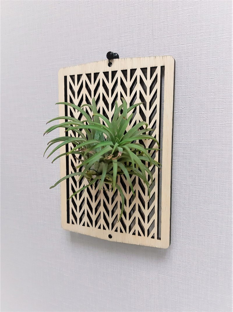 【日系家居 | 礼物】天然木植栽板(轻巧型) - 人字纹 - 植栽/盆栽 - 木头 咖啡色