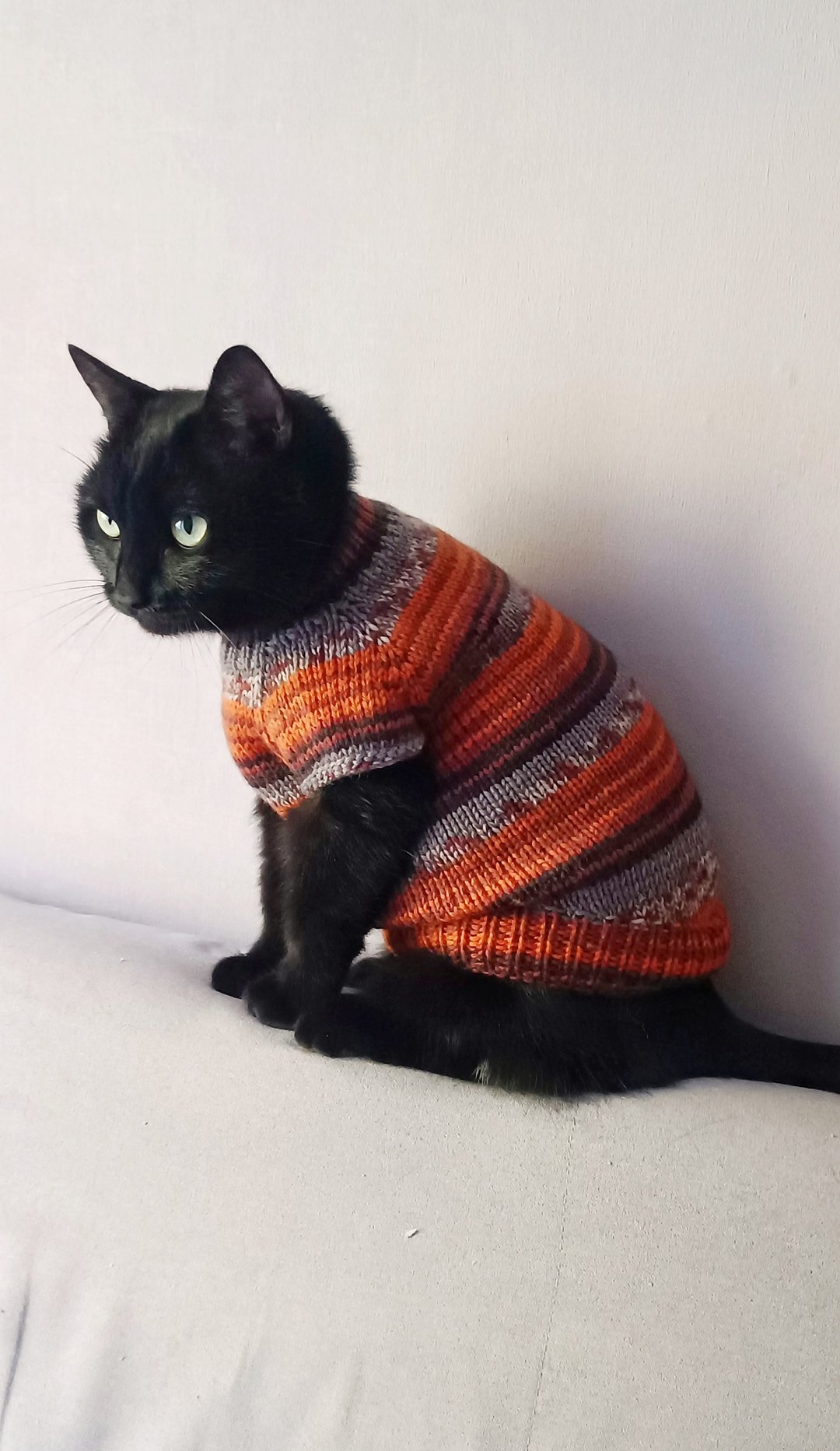猫毛衣 猫毛衣 狗狗毛衣 猫毛衣 条纹毛衣 - 衣/帽 - 羊毛 