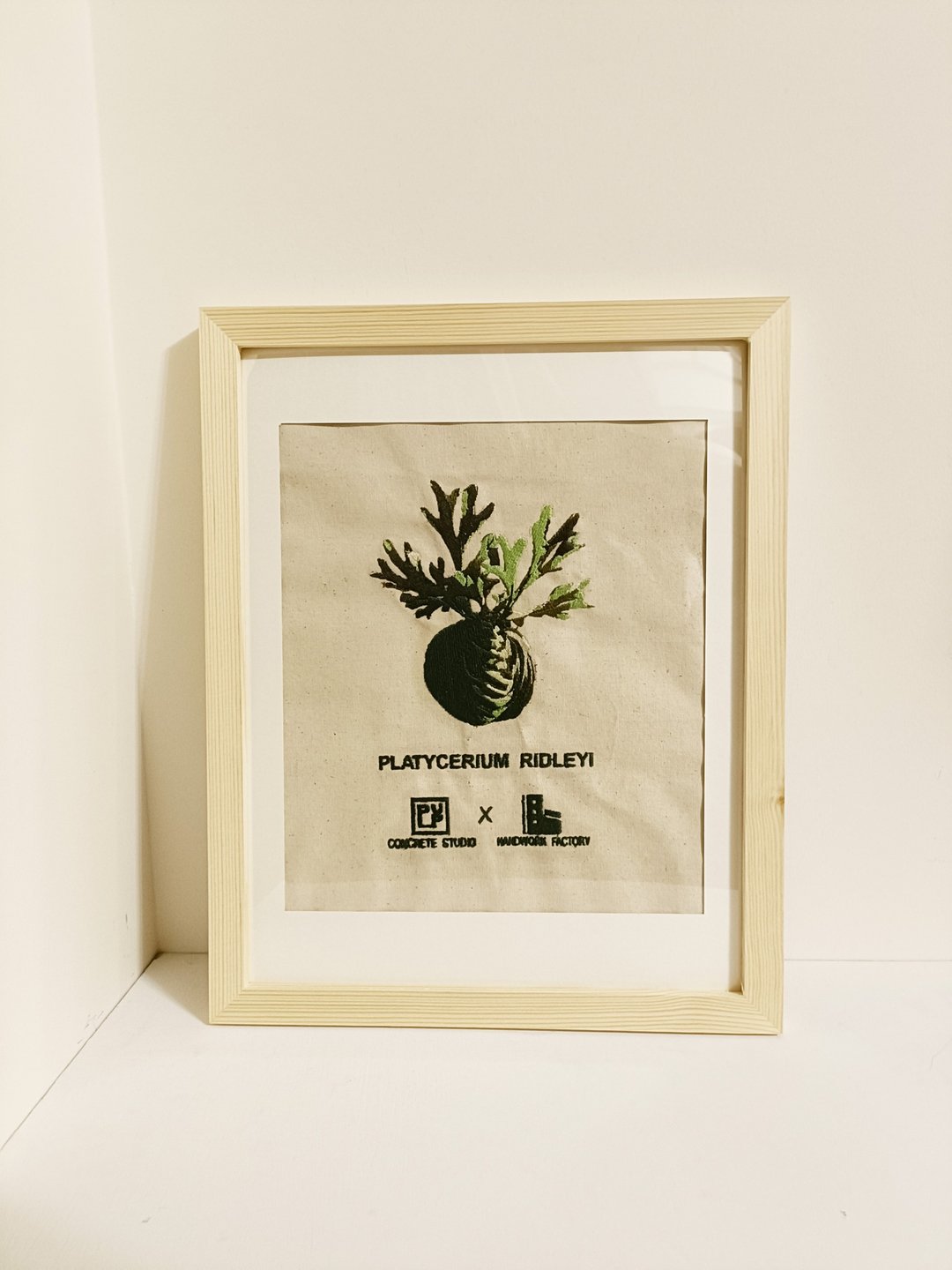 亚洲猴脑鹿角蕨刺绣挂画(可客制) - 海报/装饰画/版画 - 绣线 咖啡色