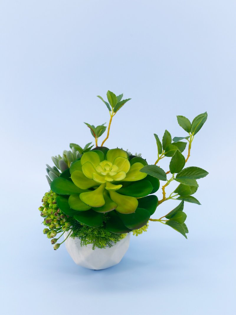 大宝石莲枝芽多肉盆栽/拟真植物/人造盆栽/绿化/布置/礼物 - 植栽/盆栽 - 其他材质 绿色