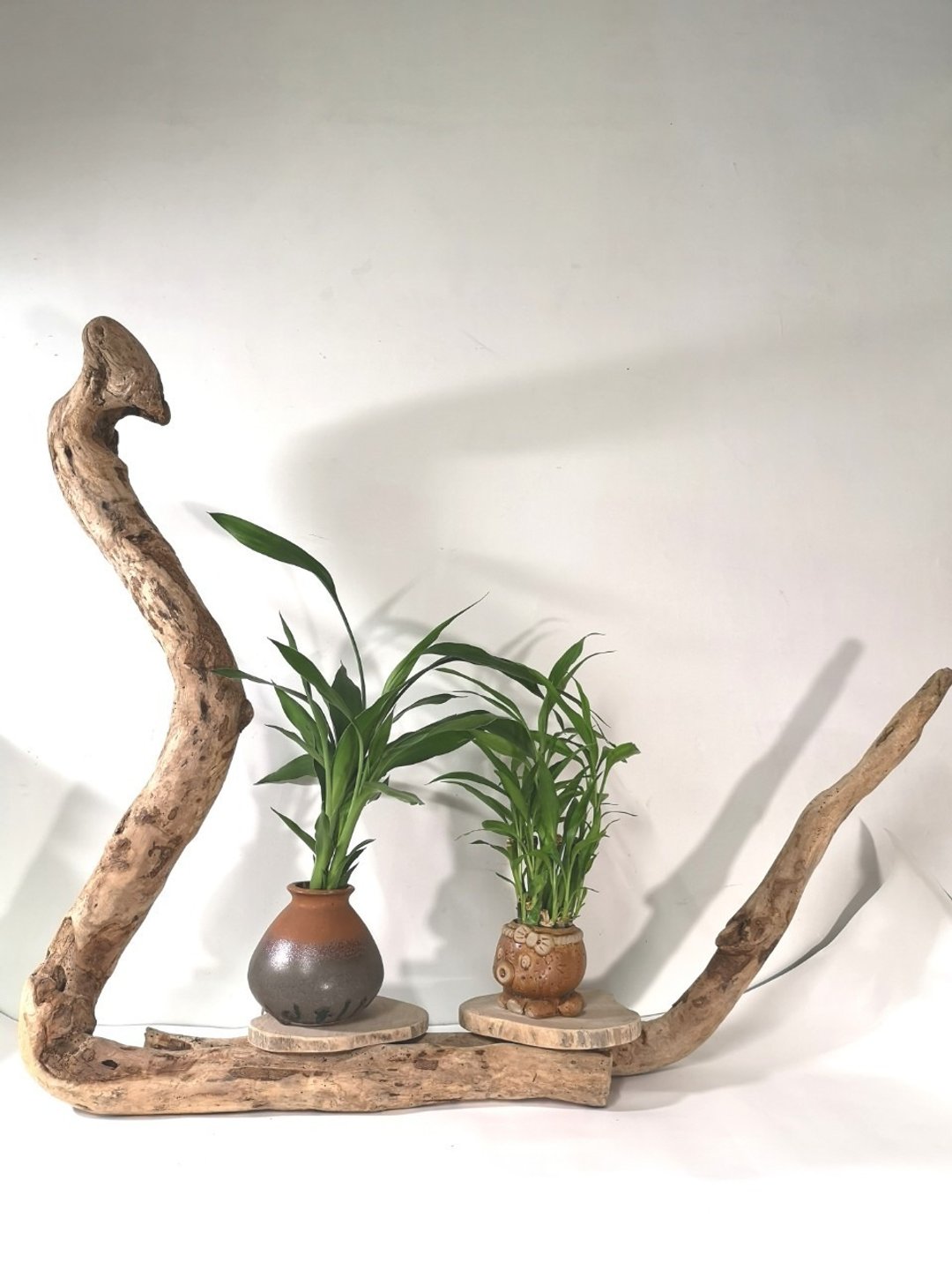 -眼镜蛇-  花架 花座 展示架 盆栽架 多肉植物 木头摆饰 - 摆饰 - 木头 咖啡色
