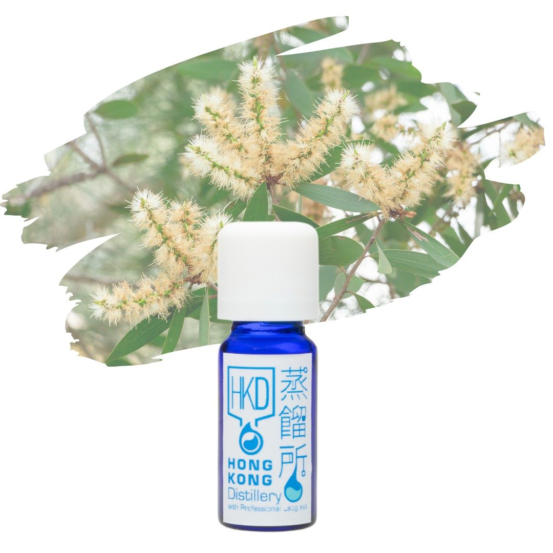 【天然纯精油】白千层精油 | 保健 止头痛 | 香港蒸馏所 - 香薰/精油/线香 - 精油 透明