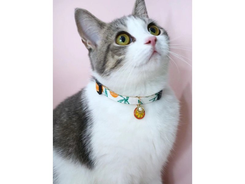 【iC原创】手工猫狗无声项圈夏日风橙子 - 项圈/牵绳 - 其他材质 