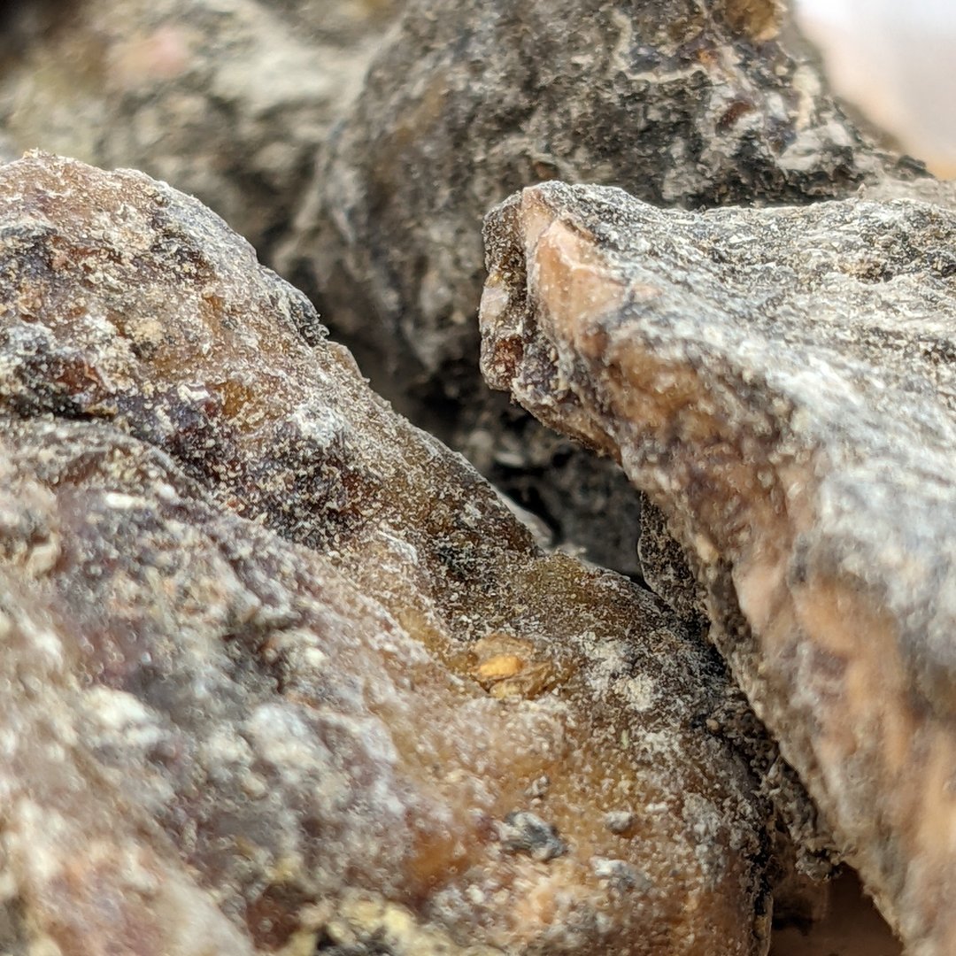 永续大地 挪威云杉树脂 15g  天然香材 颗粒型  森林系香气 薰香 - 香薰/精油/线香 - 树脂 