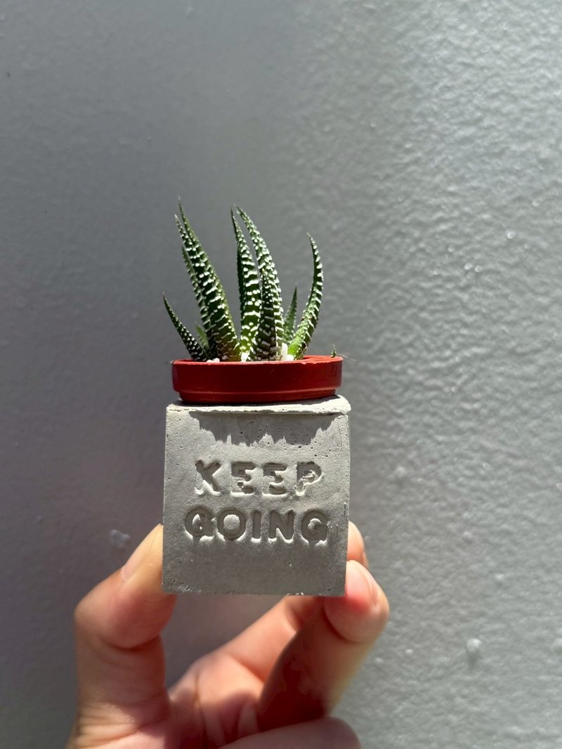 Keep going 坚持下去 多肉磁铁盆栽 - 植栽/盆栽 - 水泥 灰色