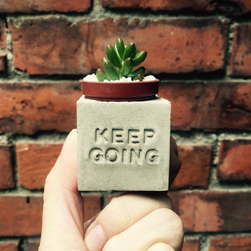 Keep going 坚持下去 多肉磁铁盆栽 - 植栽/盆栽 - 水泥 灰色