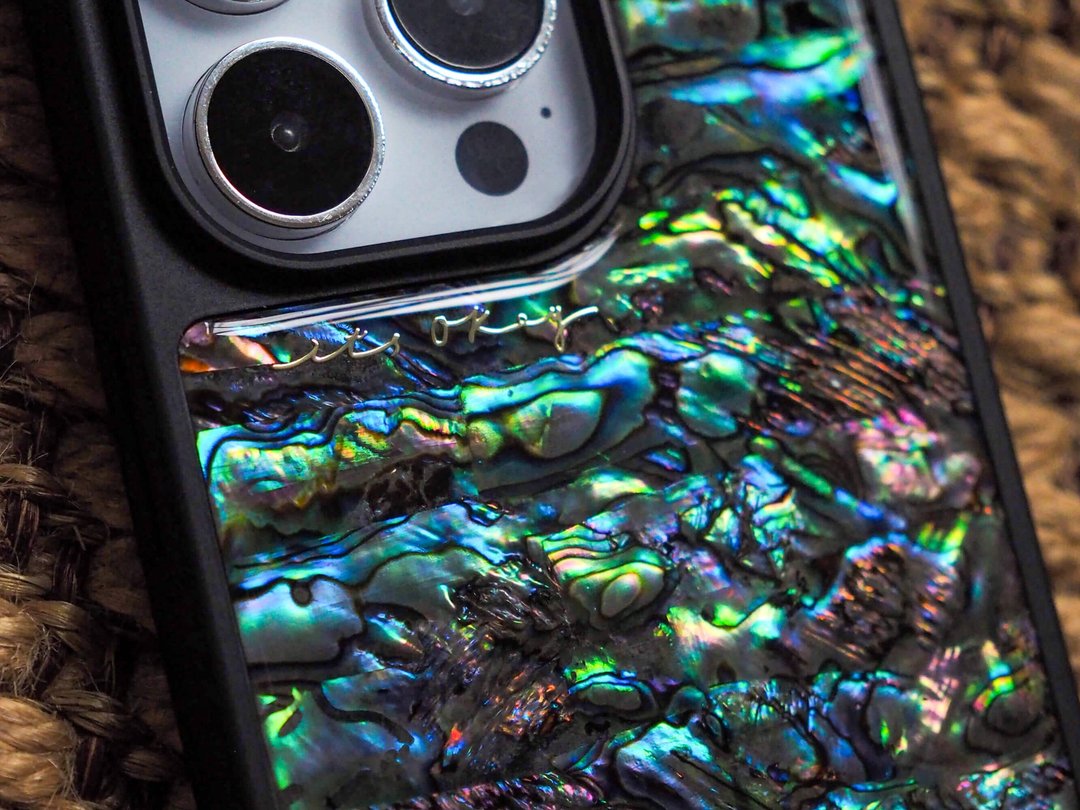 优雅鲍鱼贝iPhone手机壳 独特金色设计师款iPhone手机壳 自然礼物 - 手机壳/手机套 - 贝壳 黑色