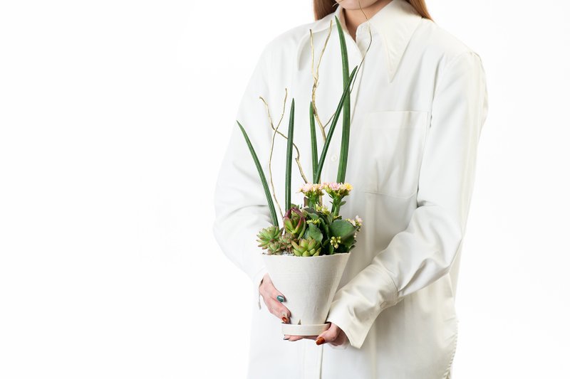 【专车配送】云中仙境 - 以植为礼 / 盆栽 植物 台湾设计 有肉 - 植栽/盆栽 - 植物．花 