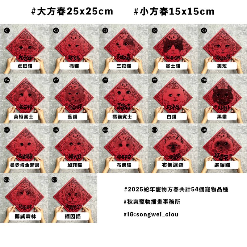 2025秋爽蛇年宠物 春联 方春 猫猫系列 - 红包/春联 - 纸 