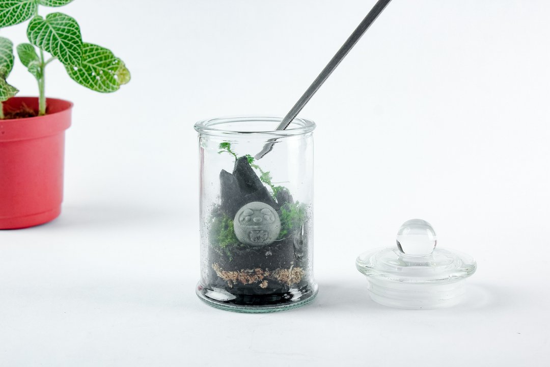 植炭生态瓶 | 迷你款 DIY材料包 含教学影片  送礼/毕业/疗愈 - 植栽 - 植物．花 