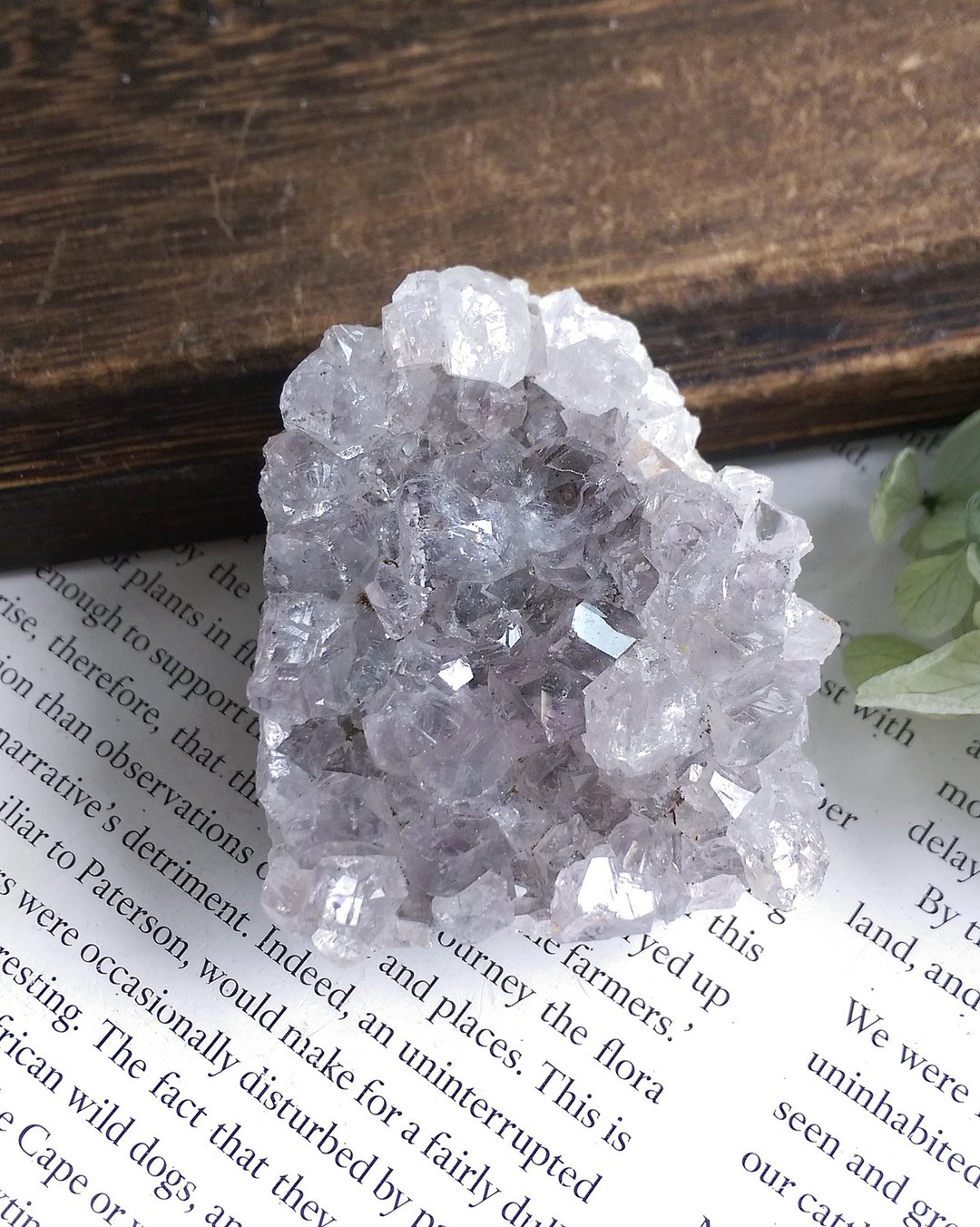 Amethyst 巴西产地 原皮紫水晶 晶簇 天然矿石 原矿 - 摆饰 - 其他材质 