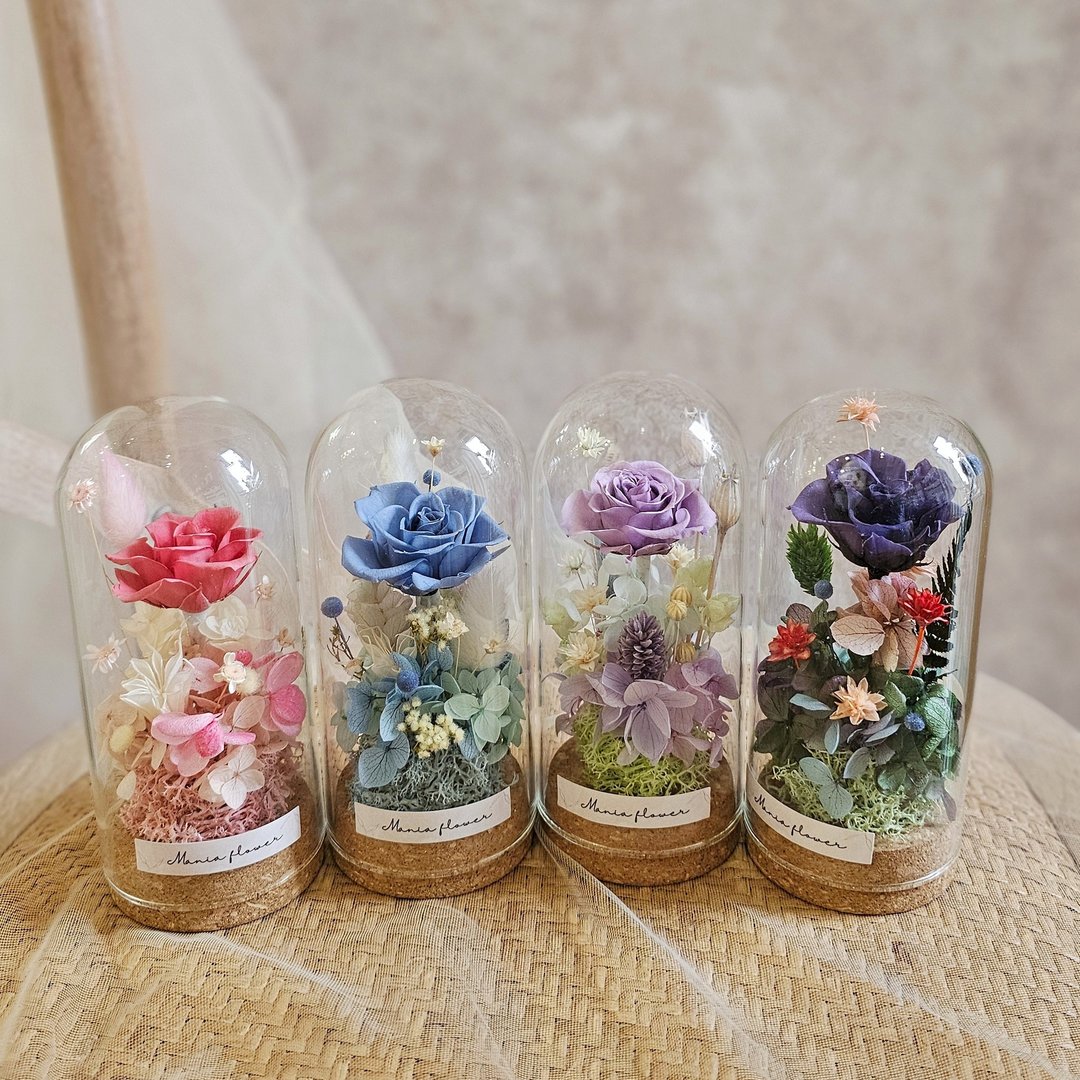 永生玫瑰软木塞玻璃罩/多色 现货 快速出货 - 干燥花/捧花 - 植物．花 多色