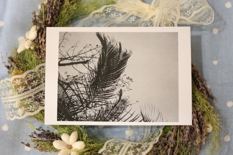 【明信片】植物 planet - 卡片/明信片 - 纸 白色