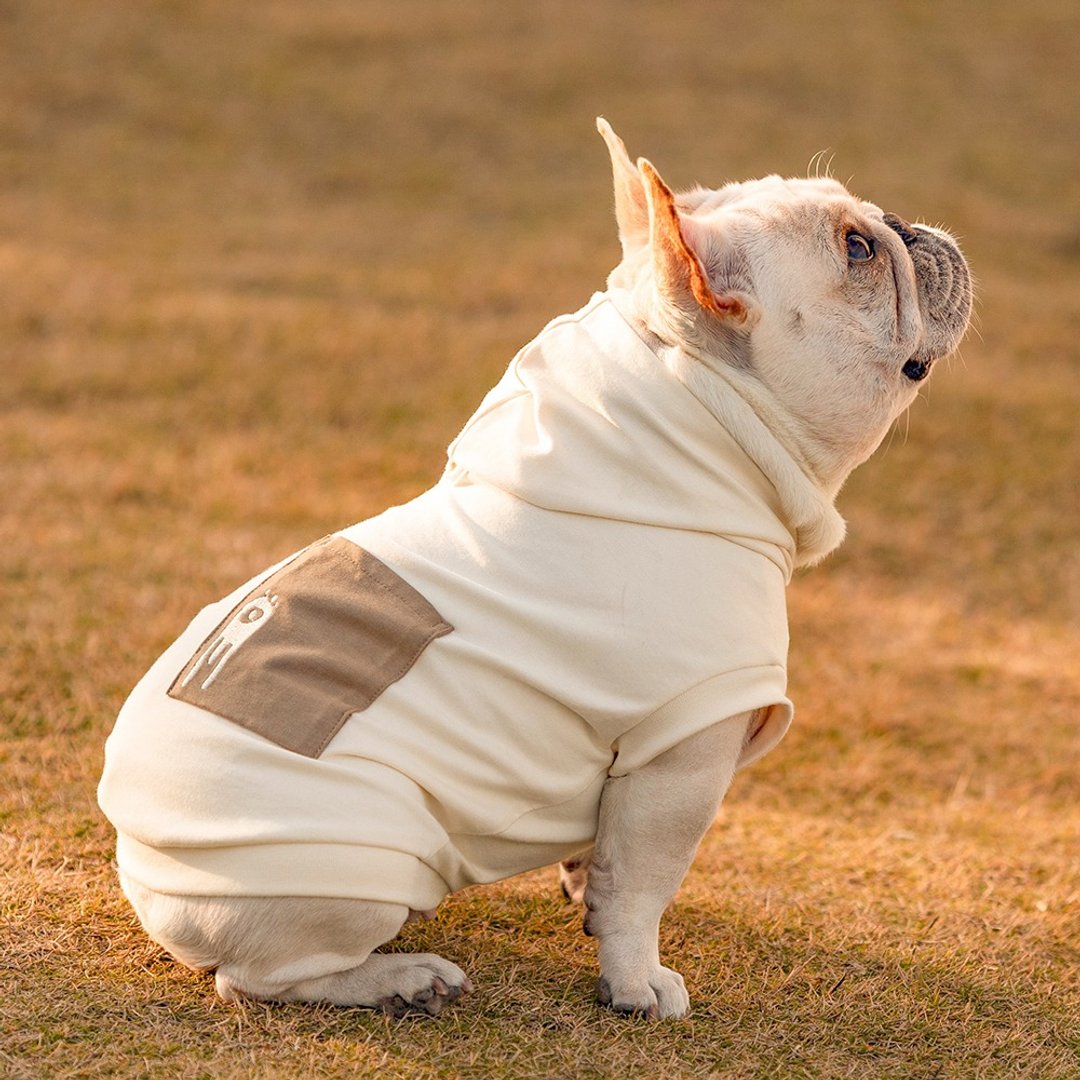 宠物口袋T恤舒适100%棉夏季狗狗衣服中大小型犬法斗 - 衣/帽 - 棉 