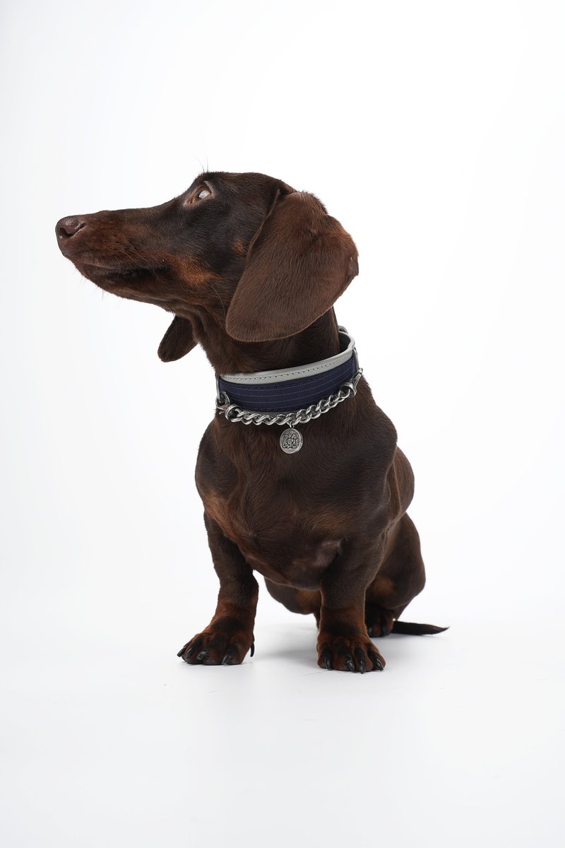 Kingsman Pinstripe Leather Collar 项圈 - 项圈/牵绳 - 真皮 