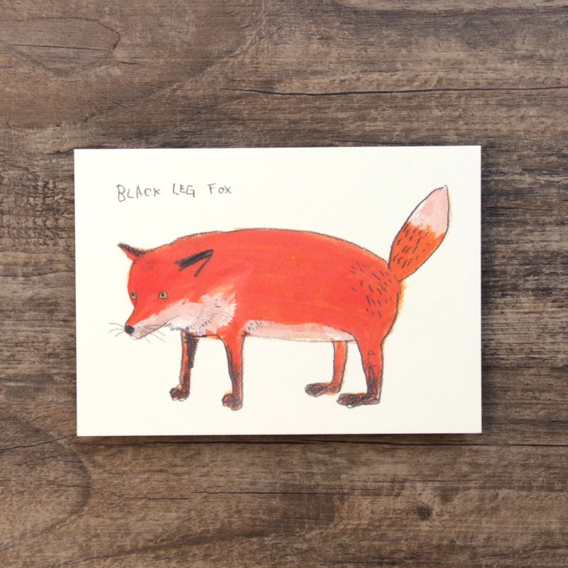 明信片 黑脚红狐狸 - 卡片/明信片 - 纸 