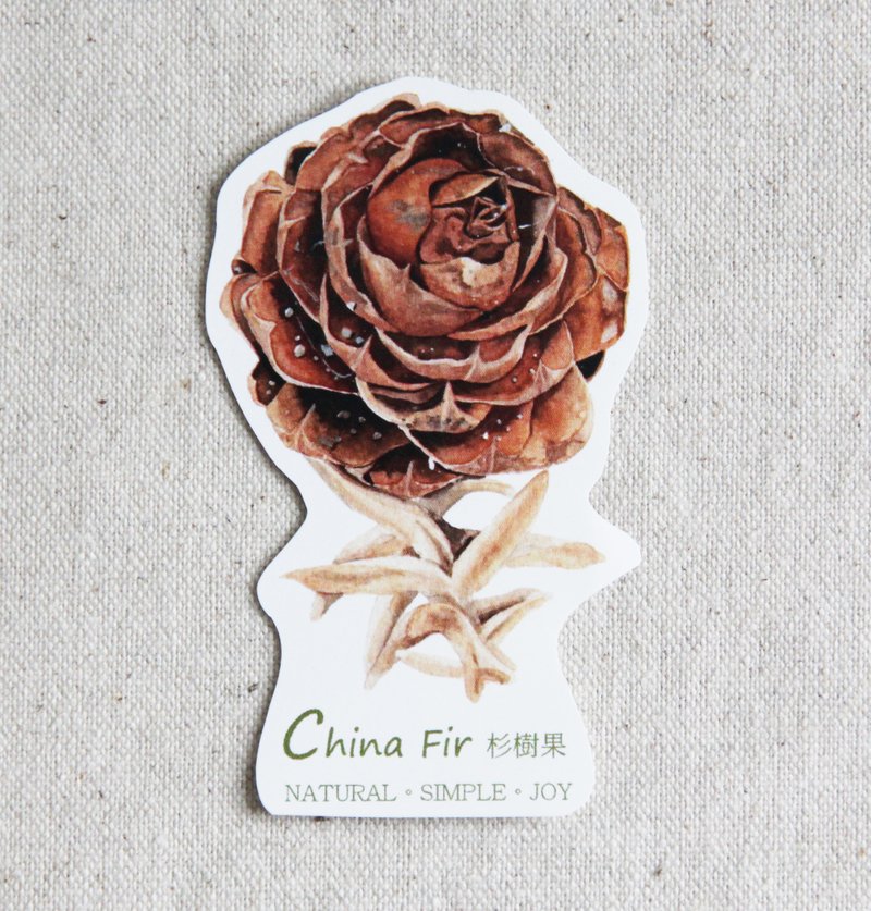 湘-NSJ 手绘杉树果贴纸 - 贴纸 - 纸 咖啡色