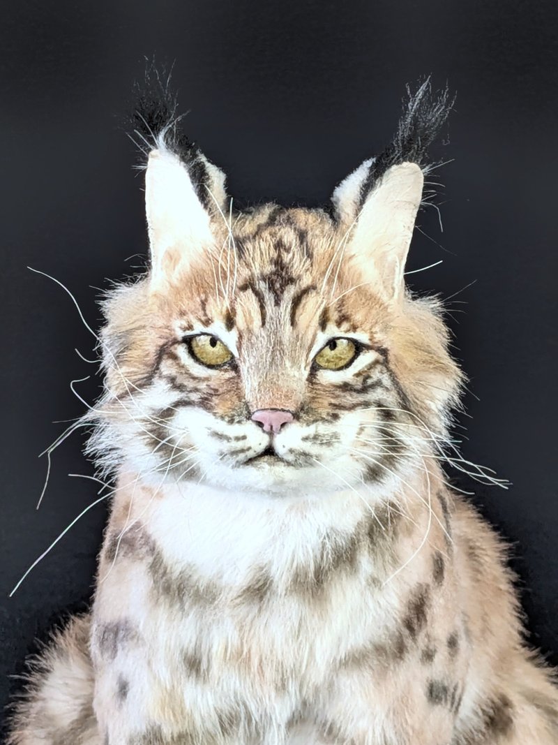 真人大小的拟真绒毛山猫，可弯曲造型 - 玩偶/公仔 - 其他材质 