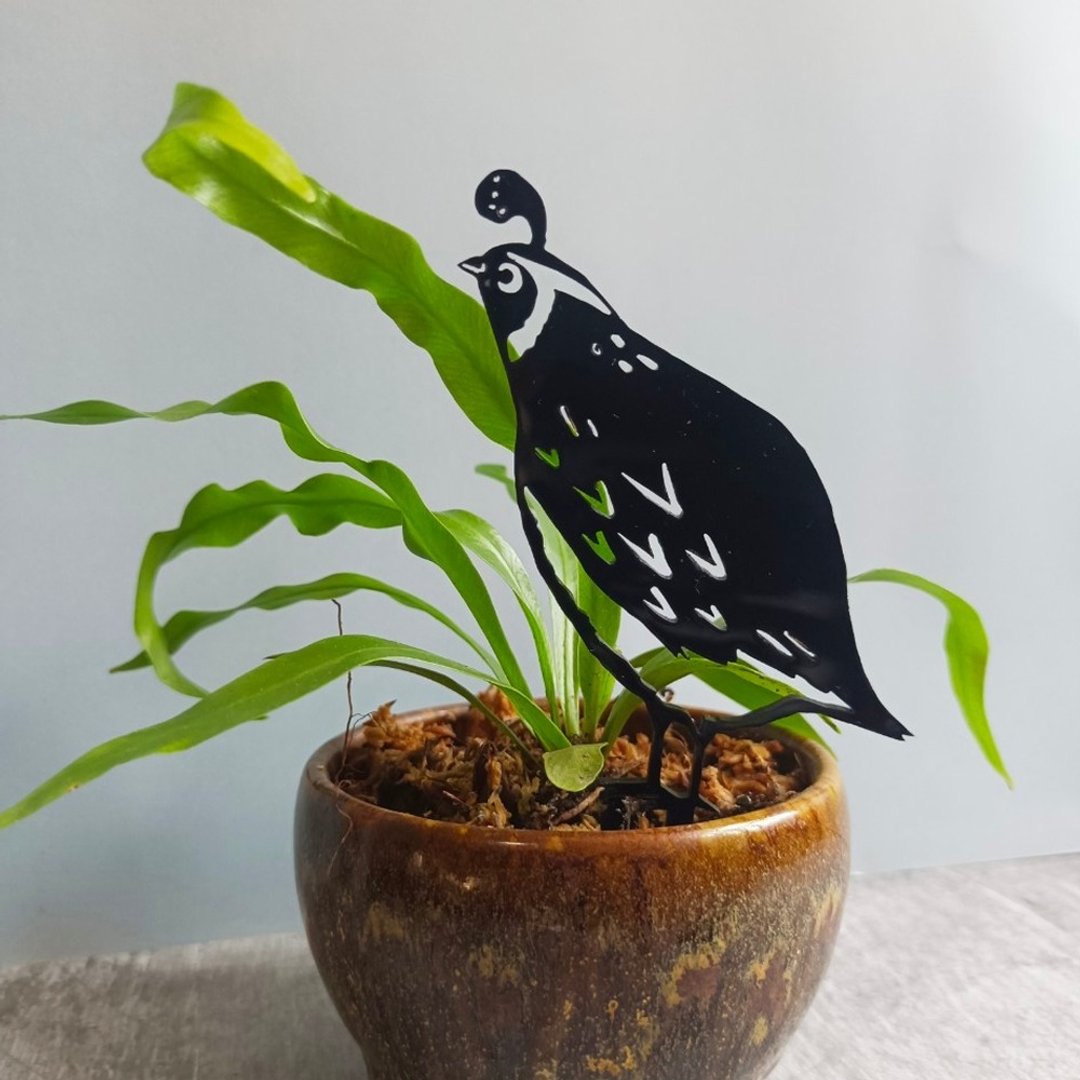 角落小剧场/趣味植栽造型装饰/幸福鸟日子系列/鹑欣赏/疗愈小物 - 植栽/盆栽 - 压克力 黑色