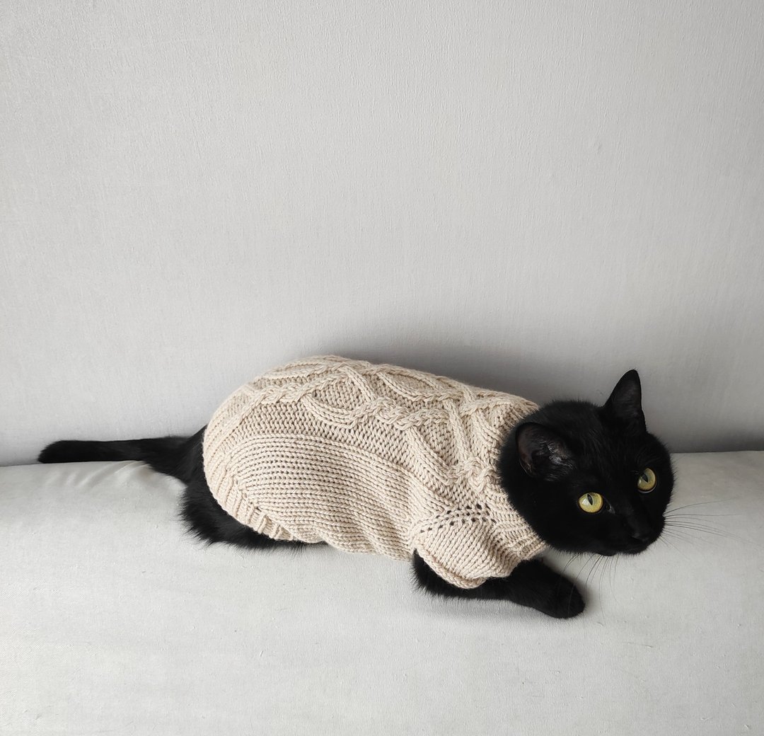 Cable cat sweater Hand knit jumper for cat Knit clothing for pets Jacket for cat - 衣/帽 - 羊毛 