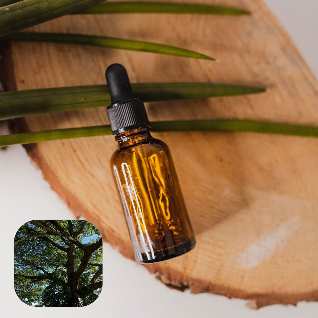 【香间小路】天然精油 古巴香脂精油 Copaiba ( 赠甜橙精油10ml ) - 香薰/精油/线香 - 玻璃 透明