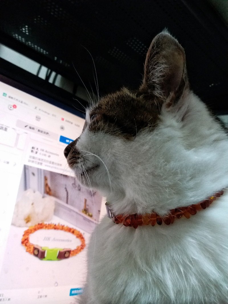 波兰金琥珀防蚤宠物颈带 ( Baltic Amber Collar For Cats ) - 项链 - 宝石 