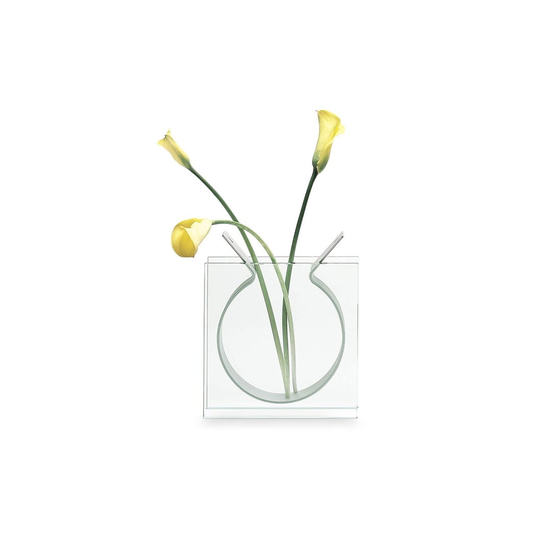 美国 MoMA 丝带花瓶简约插花花器 透明玻璃金属 现代风摆件装饰 - 花瓶/陶器 - 玻璃 透明