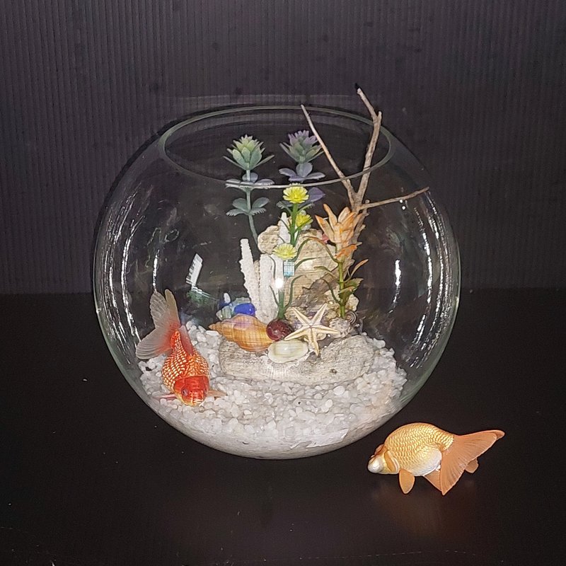 鱼缸 珊瑚海景、流木水草 组合造景 AM-001-S-01 6寸 - 植栽/盆栽 - 玻璃 