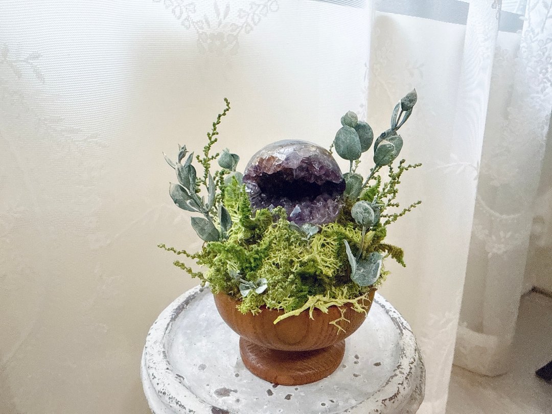 乌拉圭开口笑 紫水晶。小太阳 日日东升 永生绿植栽 - 植栽/盆栽 - 水晶 紫色