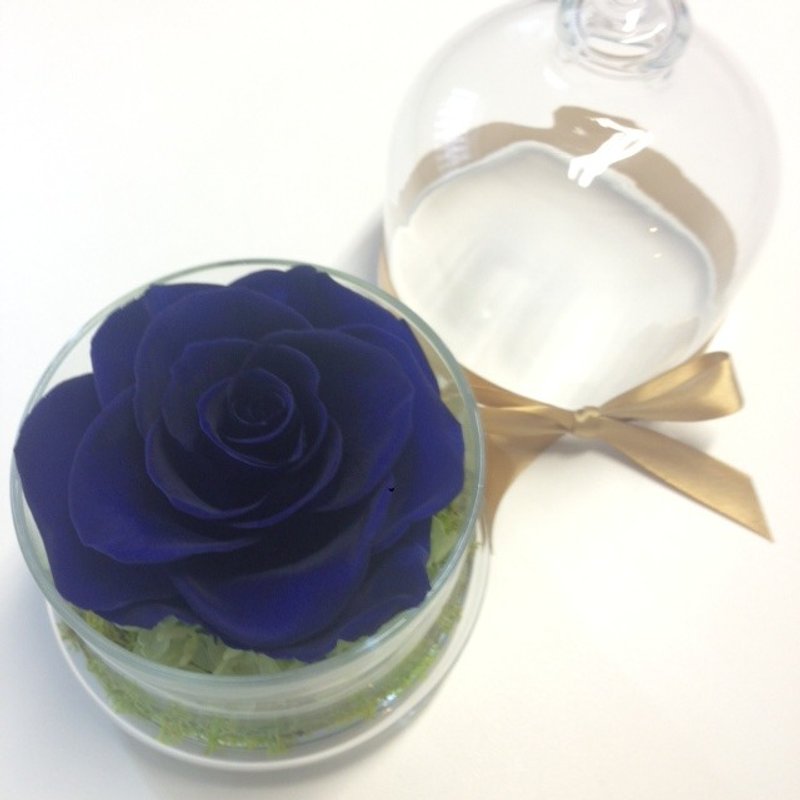 《NEW》 不凋花玫瑰花玻璃罩 -宝蓝色 - 其他 - 玻璃 蓝色