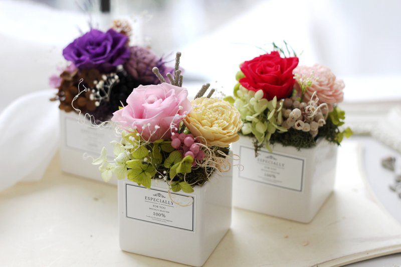 花礼设计【不凋花系列】日本浪漫玫瑰盆花 - 植栽/盆栽 - 植物．花 粉红色