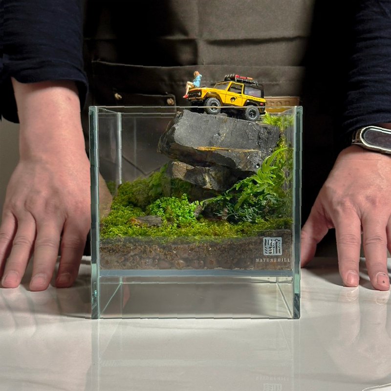 微缩时光机 / 全手作全定制专属生态缸 - 植栽/盆栽 - 植物．花 